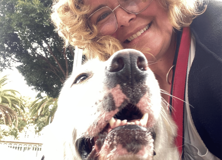 paseos perrunos (13)