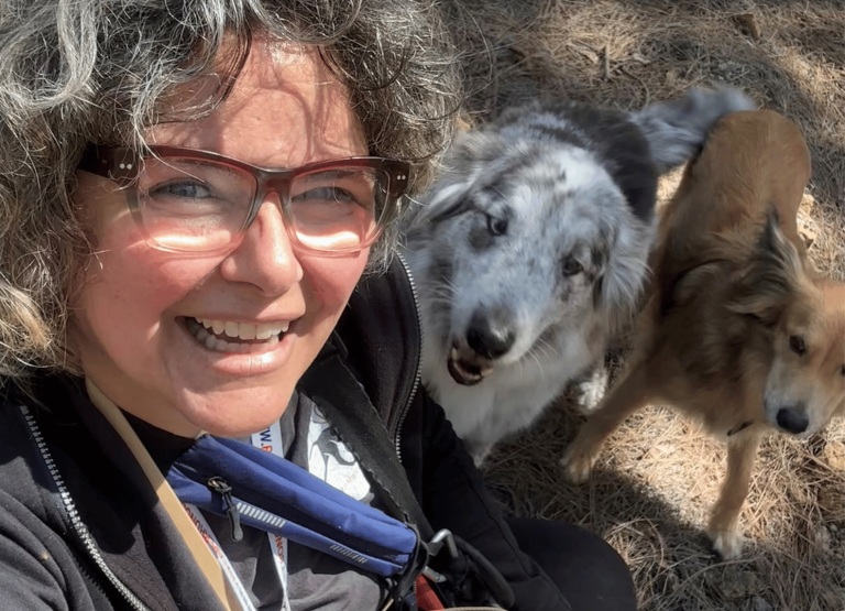 paseos perrunos (16)
